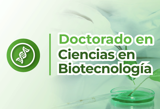 Reinscripción DCB