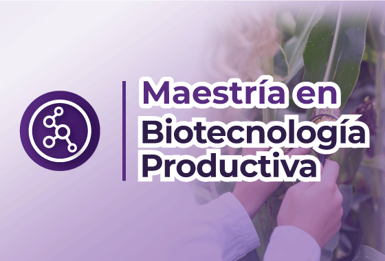 Reinscripción MBP