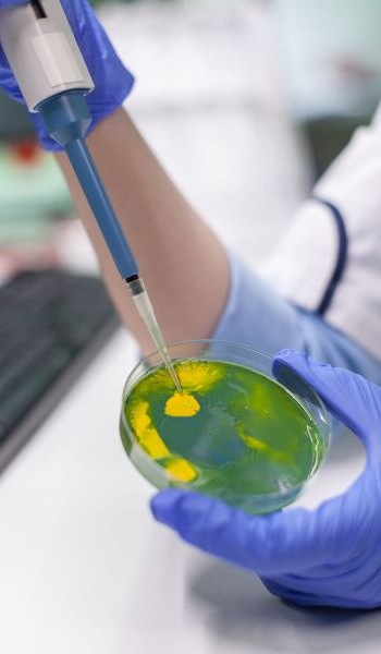 NANOBIOTECNOLOGÍA
