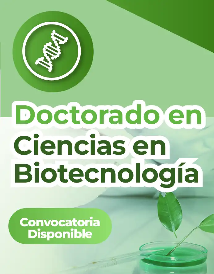 Convocatoria DCB