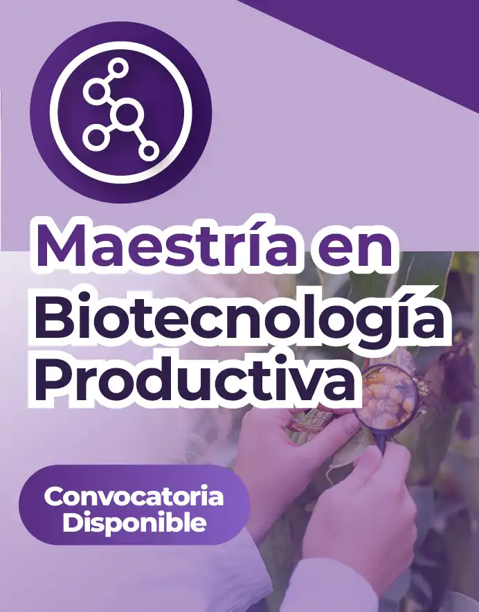 Convocatoria MBP