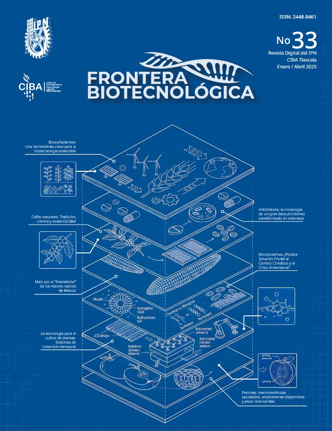 FRONTERA BIOTECNOLÓGICA (Vol. 33)